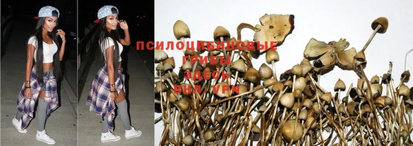 кокс Алексин