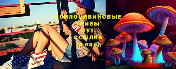 бошки Алзамай